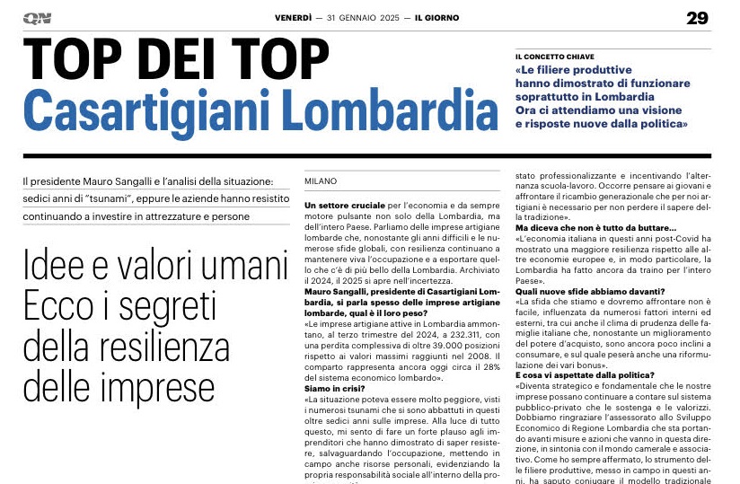 Immagine articolo professionale